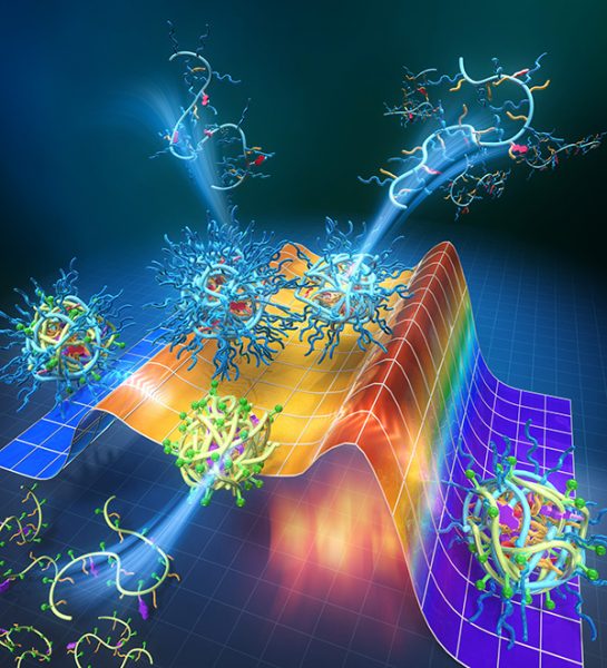 Journal Of The American Chemical Society November Volume Issue